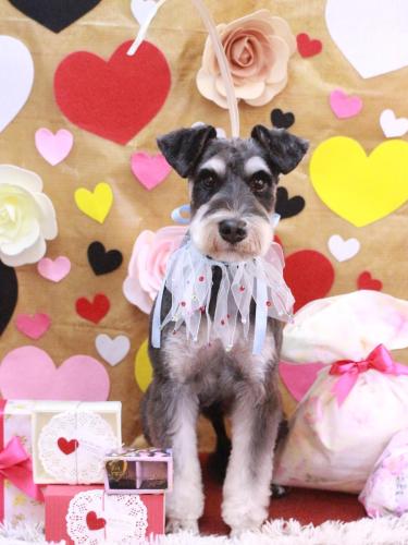 20230221マロ助くん